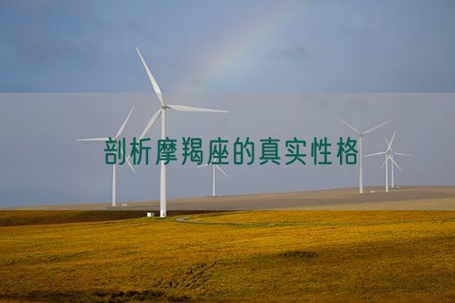 剖析摩羯座的真实性格(图1)