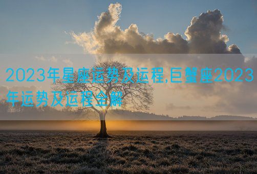 2023年星座运势及运程,巨蟹座2023年运势及运程全解(图1) 2023年星座运势及运程,巨蟹座2023年运势及运程全解(图1)