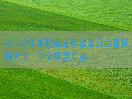 2023年水瓶座全年运势及运程详解大全  学会集思广益(图1) 2023年水瓶座全年运势及运程详解大全  学会集思广益(图1)