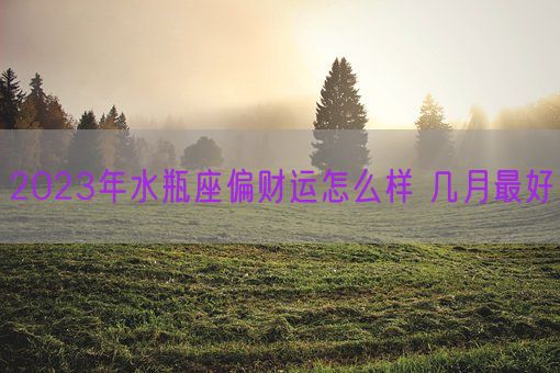 2023年水瓶座偏财运怎么样 几月最好(图1) 2023年水瓶座偏财运怎么样 几月最好(图1)