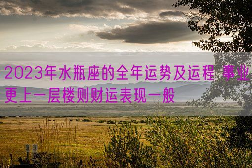 2023年水瓶座的全年运势及运程 事业更上一层楼则财运表现一般(图1) 2023年水瓶座的全年运势及运程 事业更上一层楼则财运表现一般(图1)