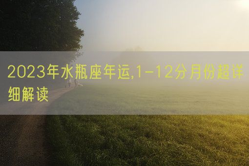 2023年水瓶座年运,1-12分月份超详细解读(图1) 2023年水瓶座年运,1-12分月份超详细解读(图1)