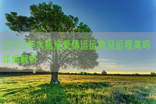 2023年水瓶座爱情运运势及运程高吗 详细解析(图1) 2023年水瓶座爱情运运势及运程高吗 详细解析(图1)