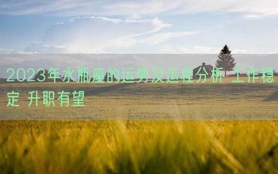2023年水瓶座的运势及运程分析 工作稳定 升职有望(图1) 2023年水瓶座的运势及运程分析 工作稳定 升职有望(图1)