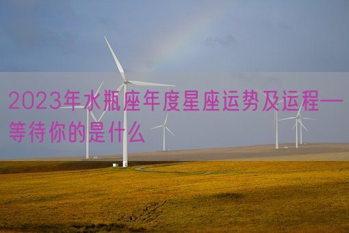 2023年水瓶座年度星座运势及运程—等待你的是什么(图1) 2023年水瓶座年度星座运势及运程—等待你的是什么(图1)