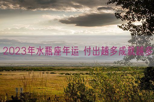 2023年水瓶座年运 付出越多成就越多(图1) 2023年水瓶座年运 付出越多成就越多(图1)