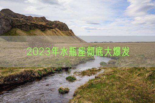 2023年水瓶座彻底大爆发(图1)