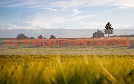 2023年水瓶座的全年运程及运势完整版(图1) 2023年水瓶座的全年运程及运势完整版(图1)