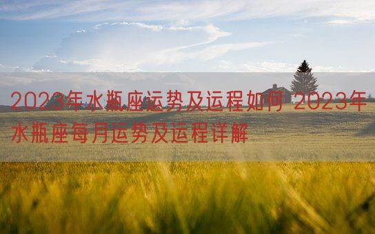 2023年水瓶座运势及运程如何 2023年水瓶座每月运势及运程详解(图1) 2023年水瓶座运势及运程如何 2023年水瓶座每月运势及运程详解(图1)
