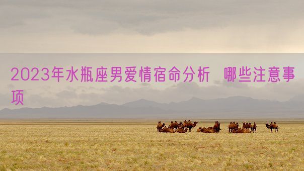 2023年水瓶座男爱情宿命分析  哪些注意事项(图1) 2023年水瓶座男爱情宿命分析  哪些注意事项(图1)