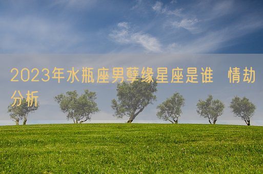 2023年水瓶座男孽缘星座是谁  情劫分析(图1) 2023年水瓶座男孽缘星座是谁  情劫分析(图1)