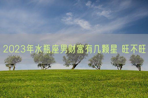 2023年水瓶座男财富有几颗星 旺不旺(图1) 2023年水瓶座男财富有几颗星 旺不旺(图1)