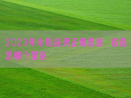 2023年水瓶座男正缘是谁  首选是哪个星座(图1) 2023年水瓶座男正缘是谁  首选是哪个星座(图1)
