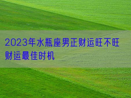 2023年水瓶座男正财运旺不旺  财运最佳时机(图1) 2023年水瓶座男正财运旺不旺  财运最佳时机(图1)