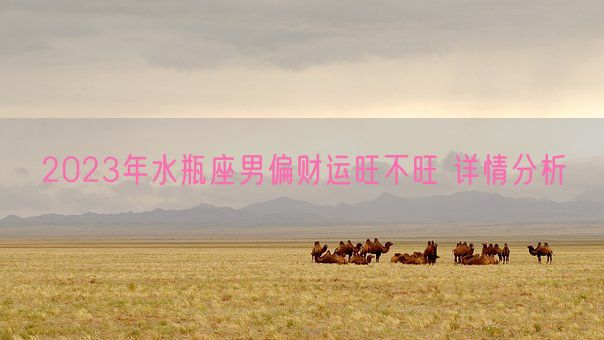 2023年水瓶座男偏财运旺不旺 详情分析(图1) 2023年水瓶座男偏财运旺不旺 详情分析(图1)
