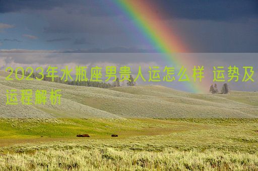 2023年水瓶座男贵人运怎么样 运势及运程解析(图1) 2023年水瓶座男贵人运怎么样 运势及运程解析(图1)