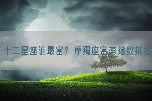 十二星座谁最富？摩羯座富有指数排名(图1)