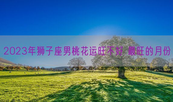 2023年狮子座男桃花运旺不好 最旺的月份(图1)