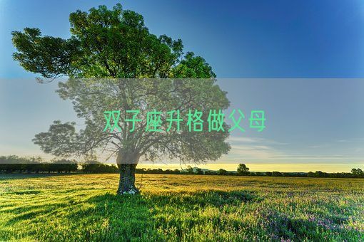 双子座升格做父母(图1)