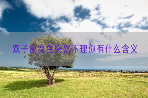 双子座女生突然不理你有什么含义(图1)