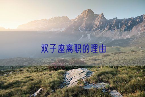 双子座离职的理由(图1) 双子座离职的理由(图1)