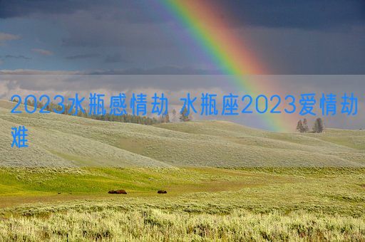 2023水瓶感情劫 水瓶座2023爱情劫难(图1)