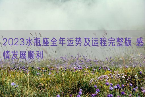 2023水瓶座全年运势及运程完整版 感情发展顺利(图1) 2023水瓶座全年运势及运程完整版 感情发展顺利(图1)