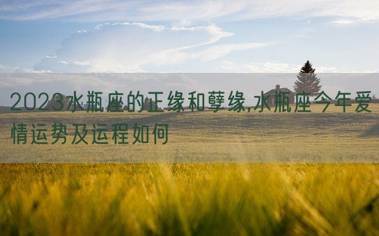 2023水瓶座的正缘和孽缘,水瓶座今年爱情运势及运程如何(图1) 2023水瓶座的正缘和孽缘,水瓶座今年爱情运势及运程如何(图1)