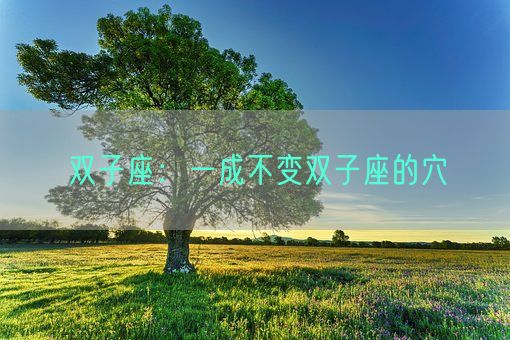 双子座：一成不变双子座的穴(图1)