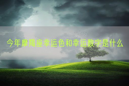 今年摩羯座幸运色和幸运数字是什么(图1)