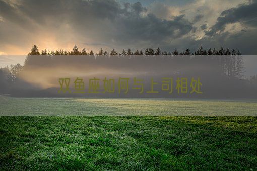 双鱼座如何与上司相处(图1) 双鱼座如何与上司相处(图1)
