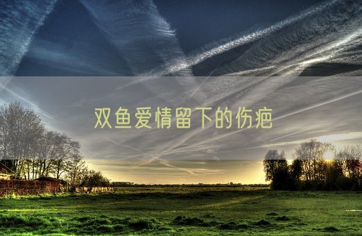 双鱼爱情留下的伤疤(图1) 双鱼爱情留下的伤疤(图1)