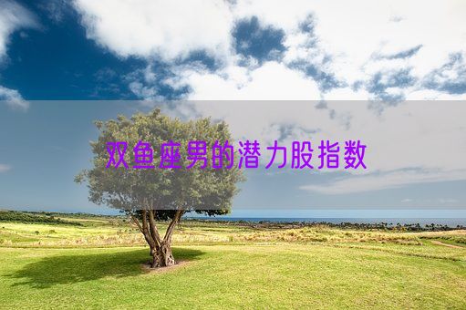 双鱼座男的潜力股指数(图1) 双鱼座男的潜力股指数(图1)