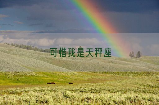 可惜我是天秤座(图1)