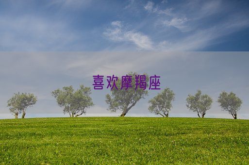 喜欢摩羯座(图1)