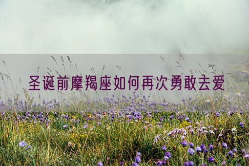 圣诞前摩羯座如何再次勇敢去爱(图1)