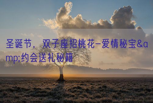 圣诞节，双子座招桃花-爱情秘宝&约会送礼秘籍(图1)