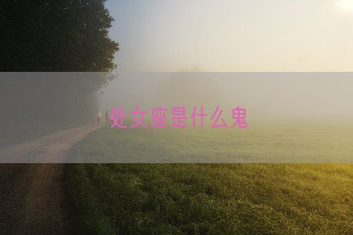 处女座是什么鬼(图1)