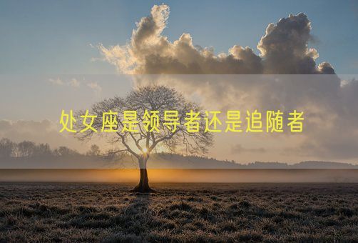 处女座是领导者还是追随者(图1)