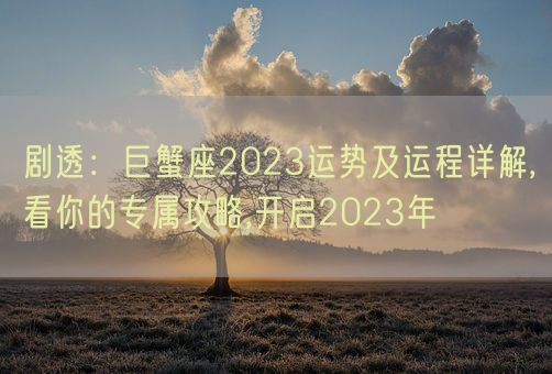 剧透:巨蟹座2023运势及运程详解,看你的专属攻略,开启2023年(图1) 剧透:巨蟹座2023运势及运程详解,看你的专属攻略,开启2023年(图1)