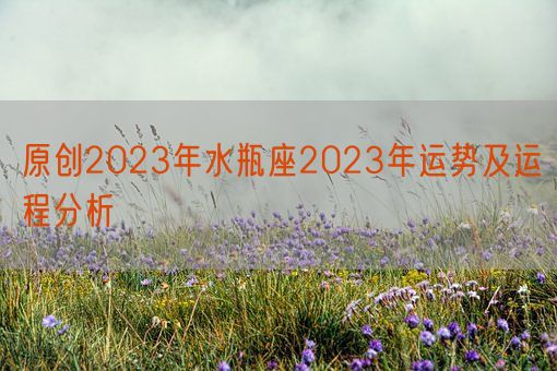 原创2023年水瓶座2023年运势及运程分析(图1) 原创2023年水瓶座2023年运势及运程分析(图1)