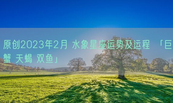 原创2023年2月 水象星座运势及运程 「巨蟹 天蝎 双鱼」(图1) 原创2023年2月 水象星座运势及运程 「巨蟹 天蝎 双鱼」(图1)