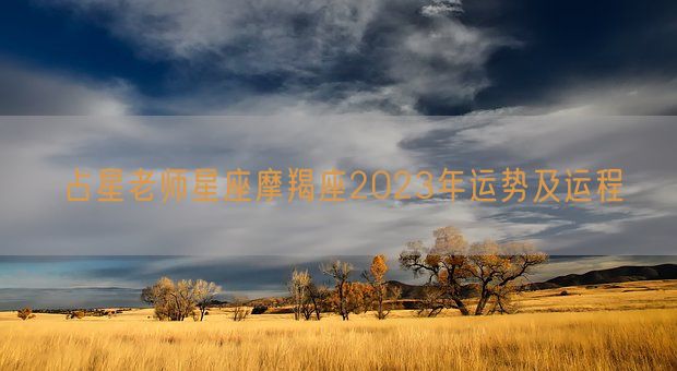 占星老师星座摩羯座2023年运势及运程(图1)