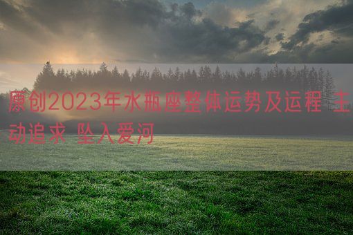原创2023年水瓶座整体运势及运程 主动追求 坠入爱河(图1) 原创2023年水瓶座整体运势及运程 主动追求 坠入爱河(图1)