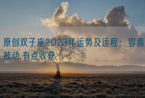 原创双子座2023年运势及运程：容易被动,有点收获(图1)