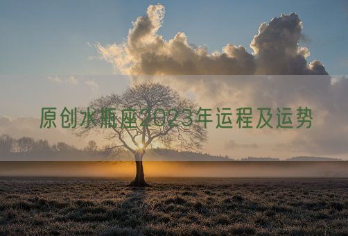 原创水瓶座2023年运程及运势(图1) 原创水瓶座2023年运程及运势(图1)