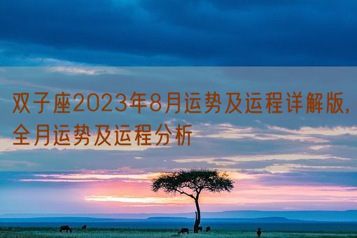 双子座2023年8月运势及运程详解版,全月运势及运程分析(图1)