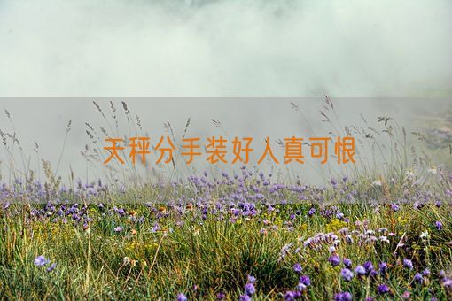 天秤分手装好人真可恨(图1)