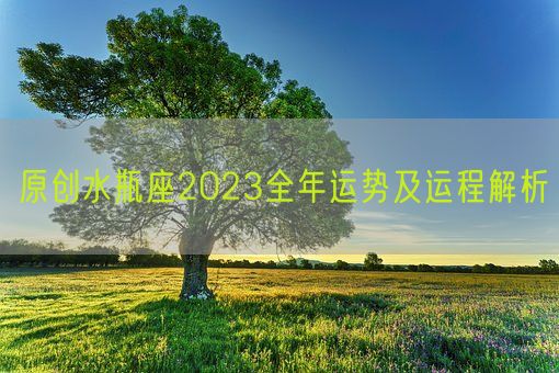 原创水瓶座2023全年运势及运程解析(图1) 原创水瓶座2023全年运势及运程解析(图1)