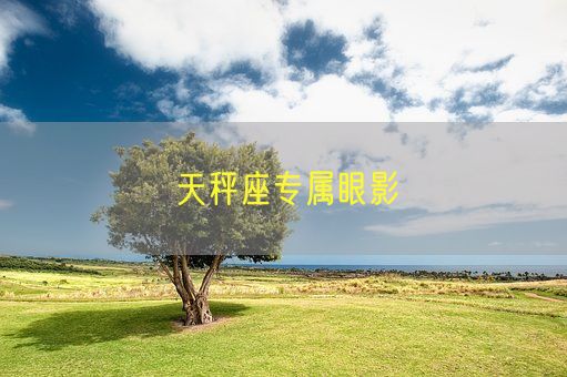 天秤座专属眼影(图1)